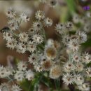 해운온천여관 이미지