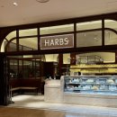 토이월드 | 월드, 도버 스트릿 마켓, 금자안경, 긴자 식스, 하쿠힌칸 토이월드, 츠지한 카이센동, HARBS, 웬디즈)