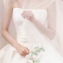 비르헤어 이미지