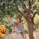 이음무역 이미지