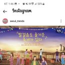 선셋네트워크