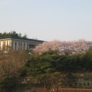 연암도서관 앞 이미지
