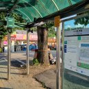 빼뻘버스정류장 이미지