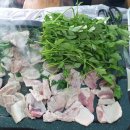 삼부자미나리 이미지