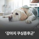 장수동물의료원 이미지