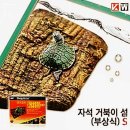 터틀하우스 이미지