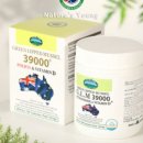 초록비타민 이미지