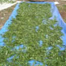 친한농장 이미지