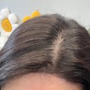 큐사랑 염색방 삼계점 | 내당동염색방 큐사랑이편한두류점, 천연염색으로 뿌리염색 받아본 후기