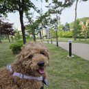 역북문화공원 이미지