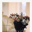 아그얼라 이미지