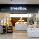 브레댄코 이미지