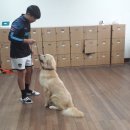 이평중학교 이미지