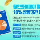 와이31