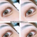 차밍아이래쉬