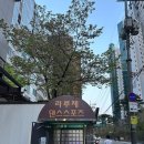 서울댄스스포츠학원 이미지