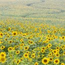 J·H농장 이미지