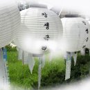 야은로-6 Daum카페