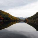 프로모터스 Daum카페