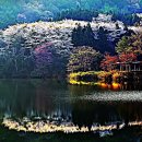 운산주유소 이미지
