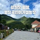 방림면사무소 | 강원도오토캠핑장 평창 국민여가 캠핑장 1캠핑장 8번 애견동반 가능