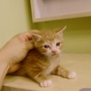 중곡3동주민센터 이미지