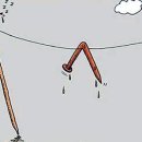 시골오리 이미지