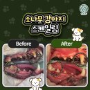 가좌종합동물병원 이미지