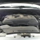 애니카랜드 수암점 이미지