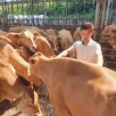 국민한우농장 이미지