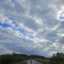 지에스(GS 25) 산호대로 이미지