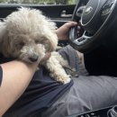 너를닮은케이크 이미지