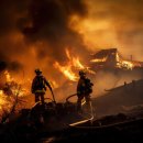 자연태양광발전소 이미지