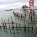 창선교 밑 이미지