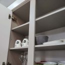 반도스파인 이미지