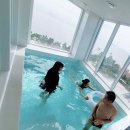 대천풀빌라호텔 아이오션 이미지