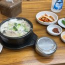 인하찹쌀순대 | 서울/경기 순대국 탐방(만복순대국, 서일국밥, 화목순대, 인하찹쌀순대) 후기