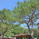 성지황토민박 이미지