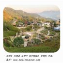 부암동 목인박물관 목석원(木人博物館 木石苑): 민속학·미학·박물관학 관점의 시공간 좌표