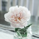 연세프라임병원 이미지