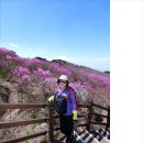 4월22일(토) 대구 비슬산 참꽃 이미지