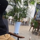 빌드머슬짐 이미지