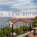 블루마레 오션 이미지