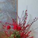 플라워사랑 이미지