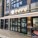 고양이무마취미용 무냥무냥 대구점 | 대구 고양이 무마취 미용 무냥무냥 내돈내산 후기