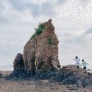 하루 두 번 열리는 바닷길과 해안 산책로의 매력!&#34; 자연과 바다, 그리고 산책의 제부도 이미지