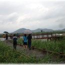 순천만의 추억 이미지