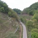 영동목장 이미지