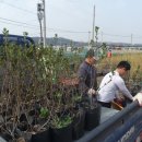 단풍농장 이미지