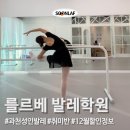 과천시민회관 연습실별님 | 과천 성인 발레 '를르베발레학원' 완전초보 후기